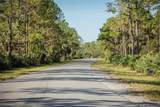 32801 Hwy 441 - Photo 62