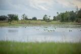 32801 Hwy 441 - Photo 65
