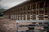 32801 Hwy 441 - Photo 70