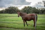 32801 Hwy 441 - Photo 71