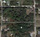 1511 Blackwillow Street - Photo 2