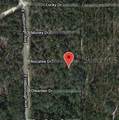 109 Nocatee Drive - Photo 2