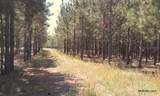 17001 Highway 484 - Photo 10