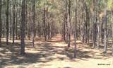17001 Highway 484 - Photo 11