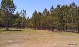 17001 Highway 484 - Photo 12