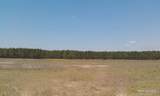17001 Highway 484 - Photo 14