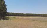 17001 Highway 484 - Photo 15