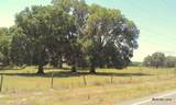 17001 Highway 484 - Photo 4