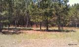17001 Highway 484 - Photo 7