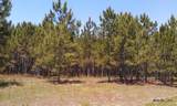 17001 Highway 484 - Photo 8