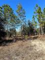 TBD Evergreen Court - Photo 2