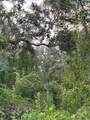 29431 Nottingham Road - Photo 2