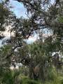 29431 Nottingham Road - Photo 3