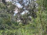 29431 Nottingham Road - Photo 5