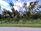 29431 Nottingham Road - Photo 7