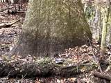 0 Middle Road - Photo 13