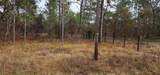 00 138Th/114Th Avenue - Photo 11