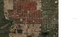 00 138Th/114Th Avenue - Photo 3
