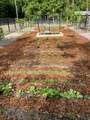 00 138Th/114Th Avenue - Photo 6