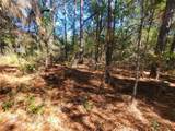 14401 30th Street - Photo 3