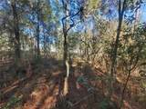 14401 30th Street - Photo 5