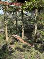 39390 Cook Brown Road - Photo 7