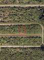 860 Sandollar Street - Photo 1