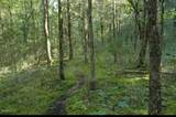 10392 126TH Lane - Photo 1