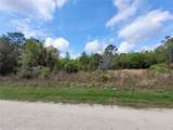 8862 Delene Terrace - Photo 1