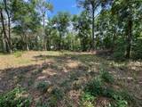 TBD Pine Way Court - Photo 4