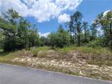 TBD Barnacle Drive - Photo 3