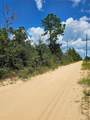 TBD Brandon Road - Photo 14