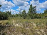 TBD Brandon Road - Photo 15