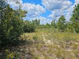 TBD Brandon Road - Photo 17