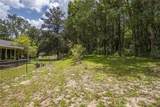 8700 205th Circle - Photo 48