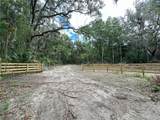 159ac W Hwy 318 - Photo 1