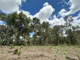 159ac W Hwy 318 - Photo 10
