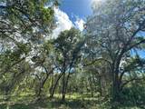 159ac W Hwy 318 - Photo 11