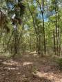 159ac W Hwy 318 - Photo 2