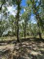 159ac W Hwy 318 - Photo 6