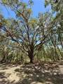 159ac W Hwy 318 - Photo 7