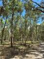 159ac W Hwy 318 - Photo 9