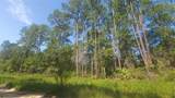 Lot 22 Selma Avenue - Photo 7