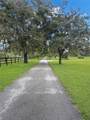TBD Magnolia Avenue - Photo 10