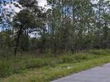 TBD Foxglove Lane - Photo 2