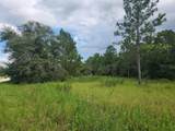 Lot 18 Tiger Lake Boulevard - Photo 1
