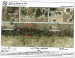 Lot 18 Tiger Lake Boulevard - Photo 3