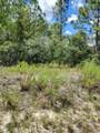 0 Cottonwood Lane - Photo 1