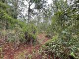 Lot 8 21 Place - Photo 3