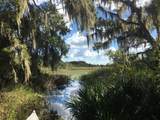 2350 Lake Tsala Apopka Street - Photo 1